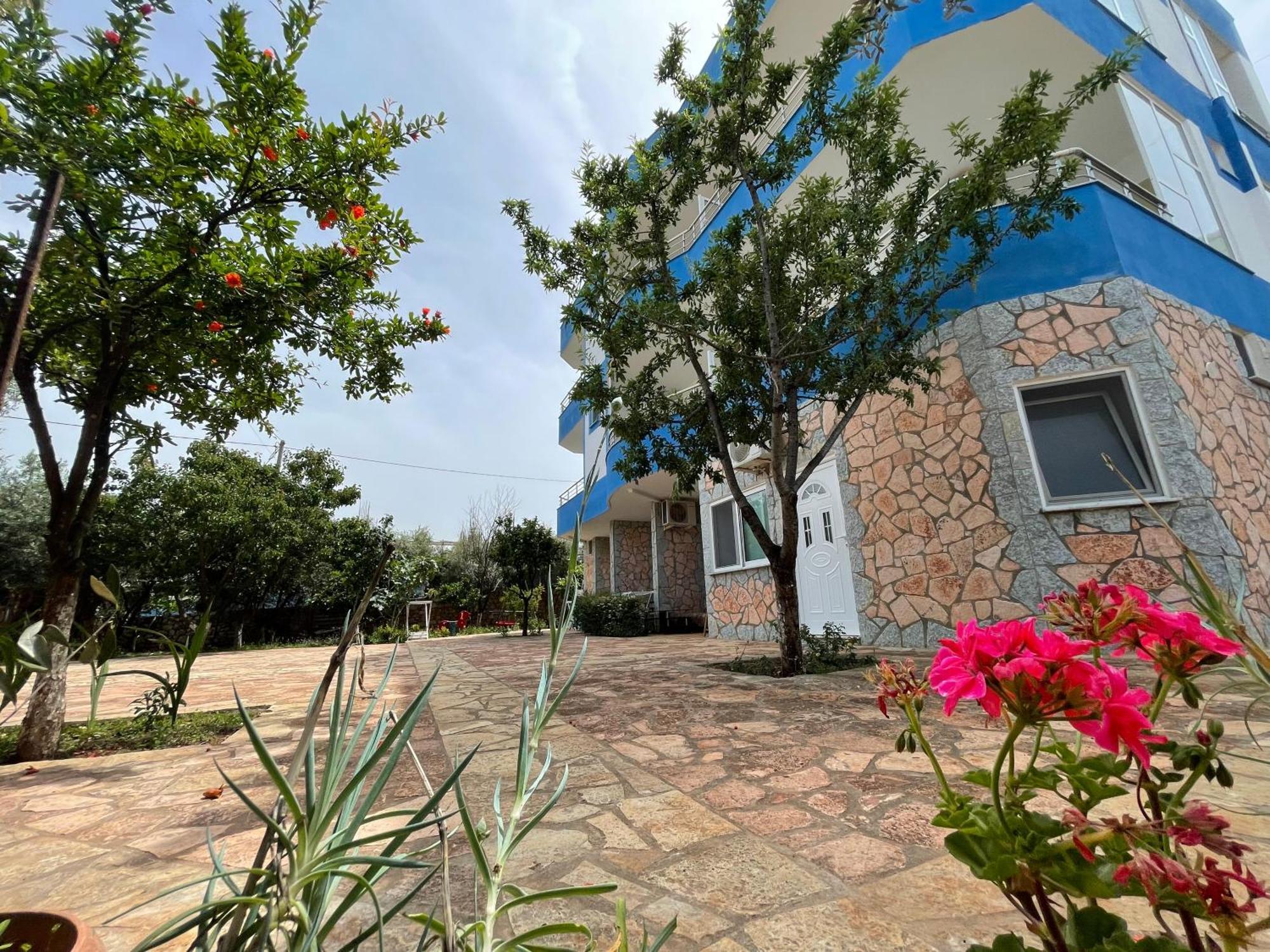 Vila Albi クサミル エクステリア 写真